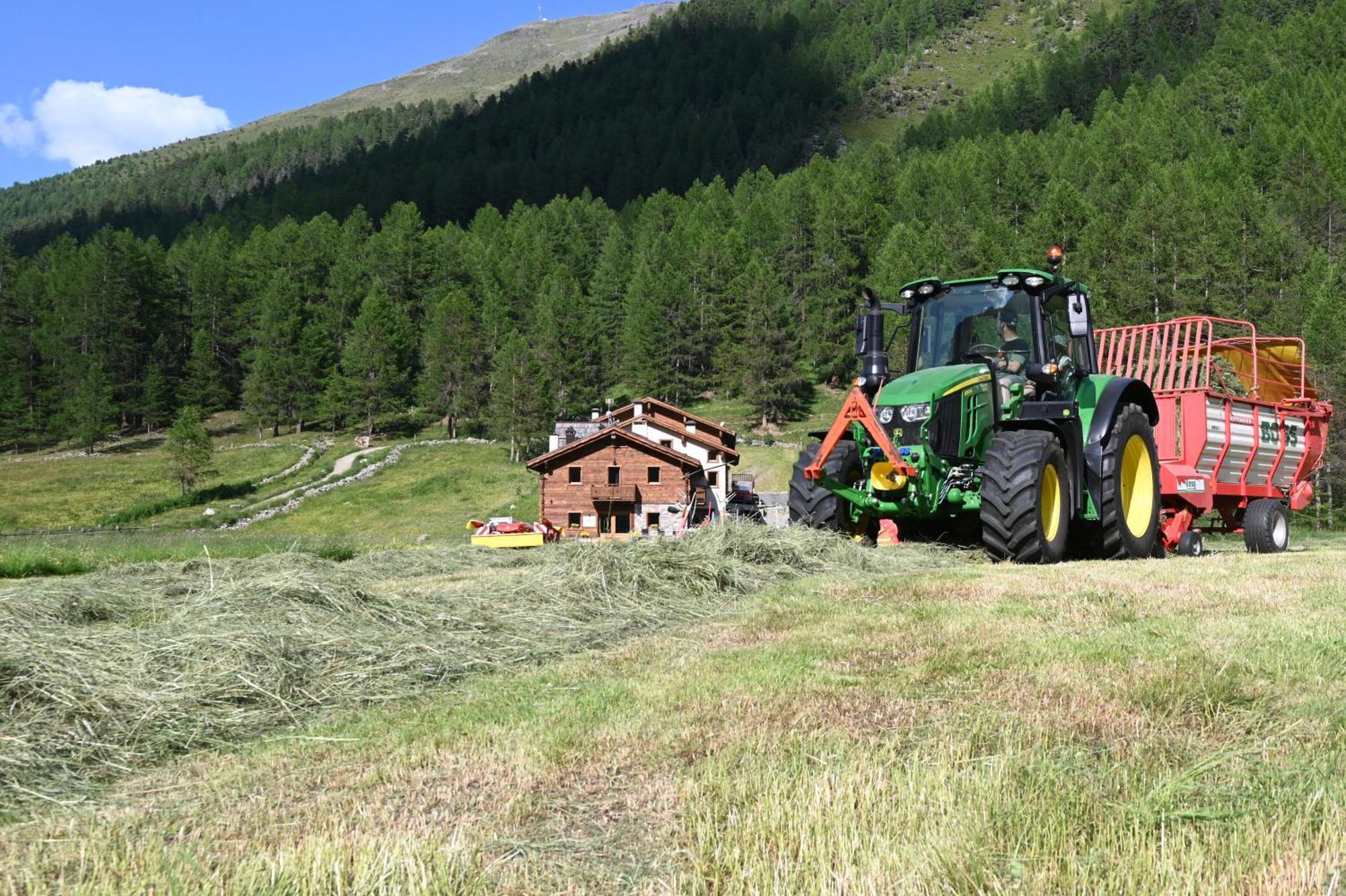 Agriturismo Bosco D'Oro Livigno Extérieur photo