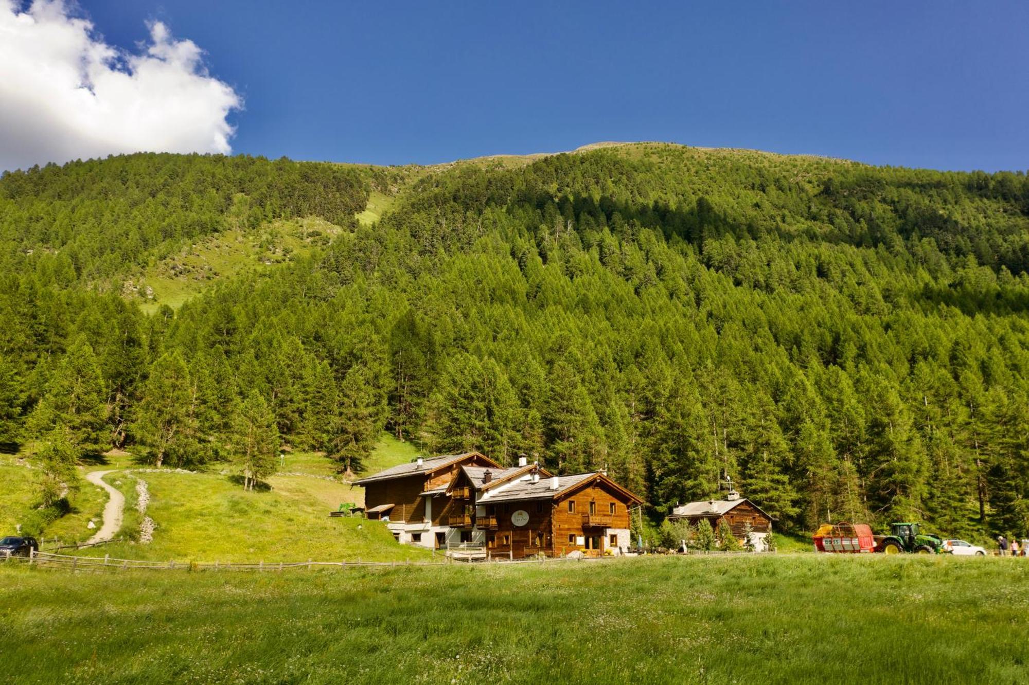 Agriturismo Bosco D'Oro Livigno Extérieur photo